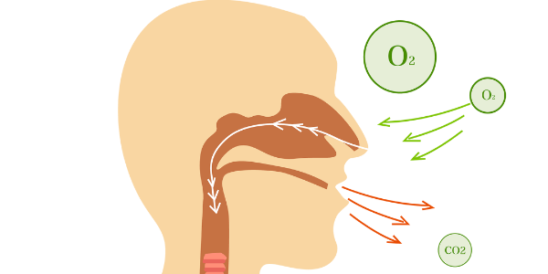 氧氣和我們身體的不解之緣（開(kāi)篇）